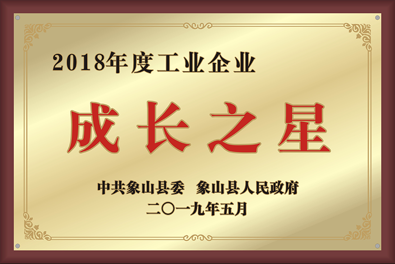 2018年度工業企業成長之星