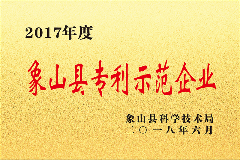 2017年度象山縣zhuanli示范企業